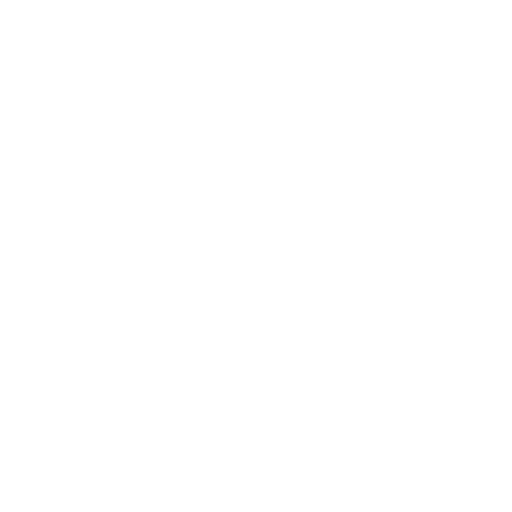 feature-item-2